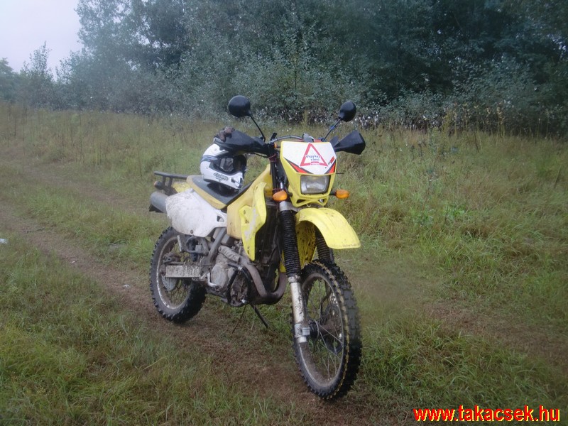 Kép